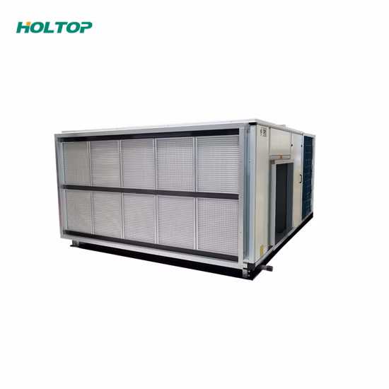 Holtop Rooftype Ahu Air Handling Unit System